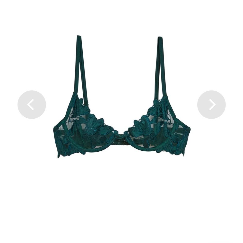 Lily Embroidery Plunge Demi Bra 32G